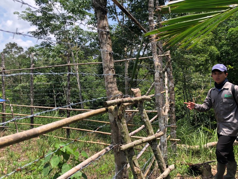 Tiger Proof Enclosure in Sampai Raya