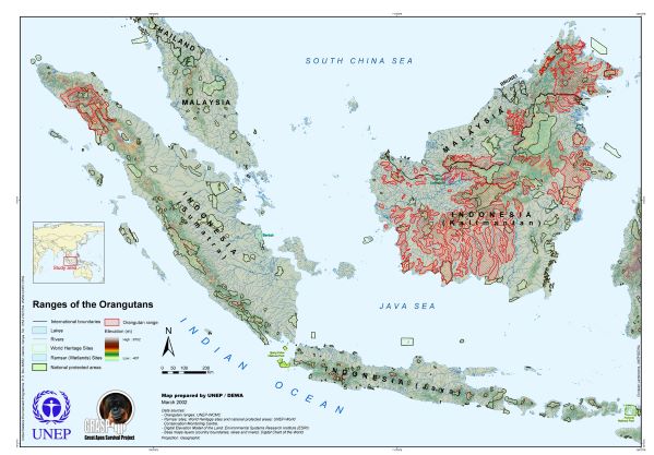 Species Information - Orang Utan Republik Foundation