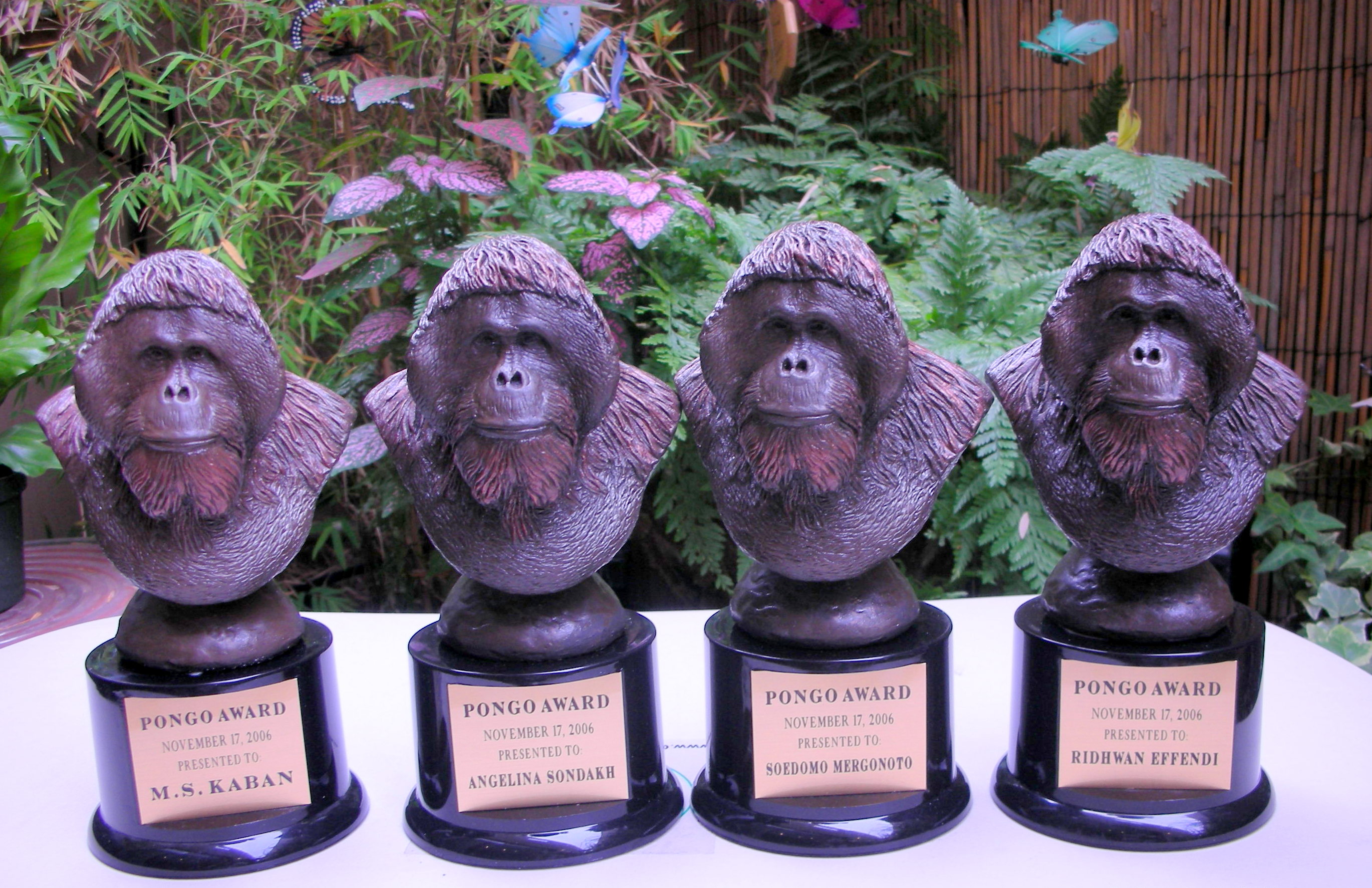 Pongo Awards