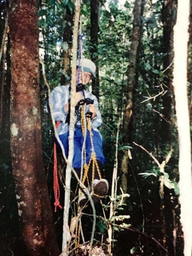 Climbing in Borneo