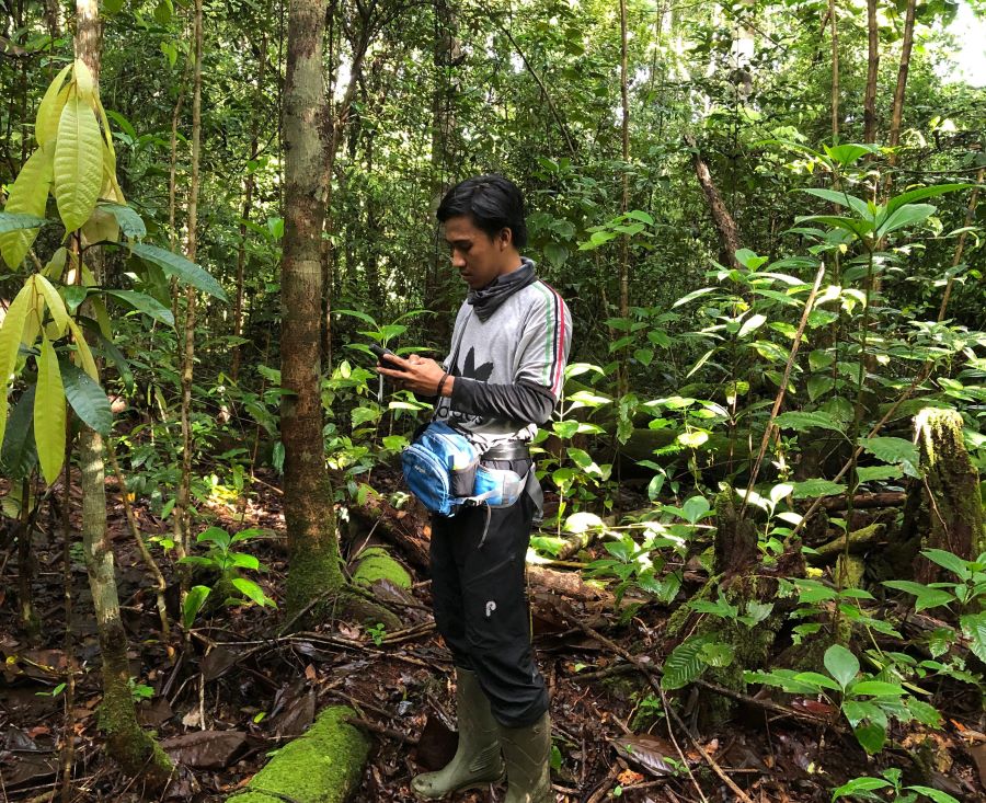 Ilham collecting data