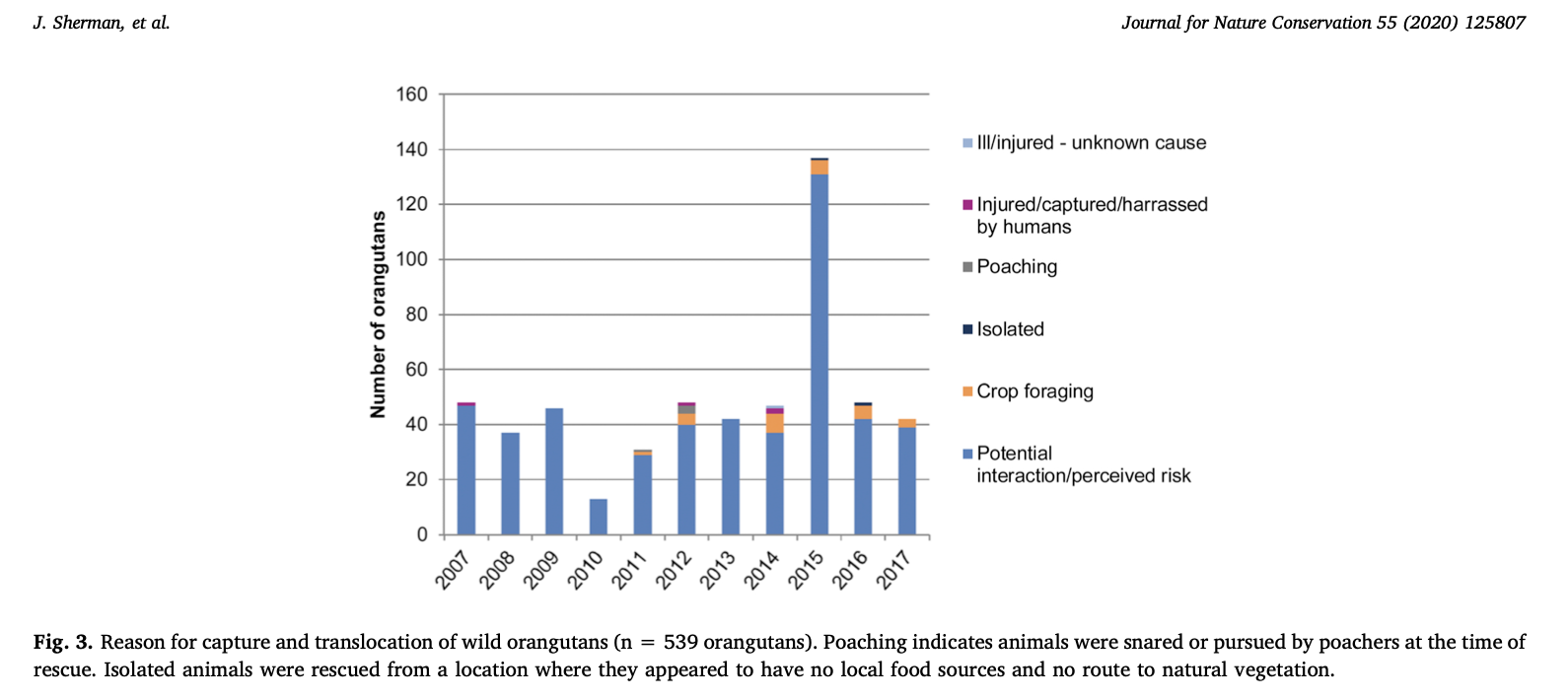 Human-Orangutan Conflict and Orangutan Translocation - Orang Utan