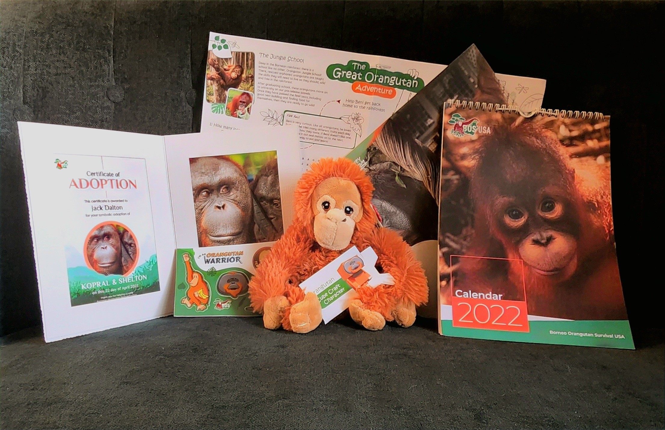 Orangutan, Adopt Me! Wiki