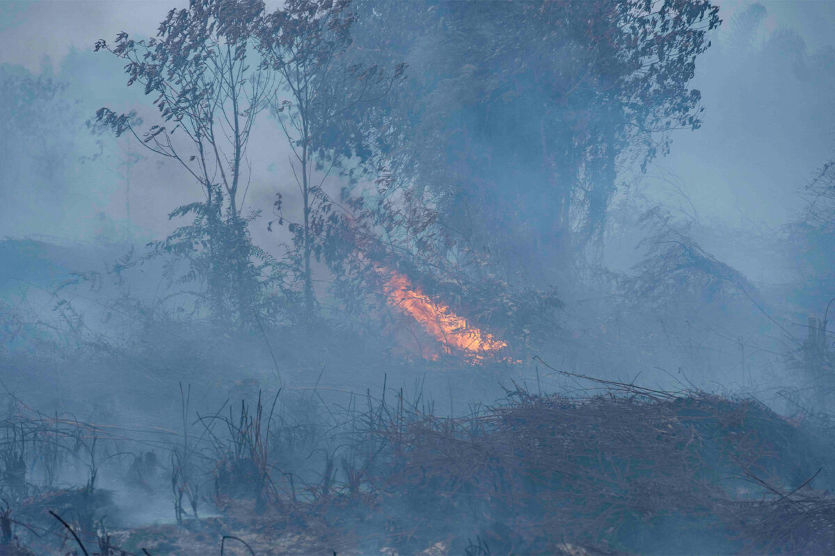 Fire burning in West Kalimantan