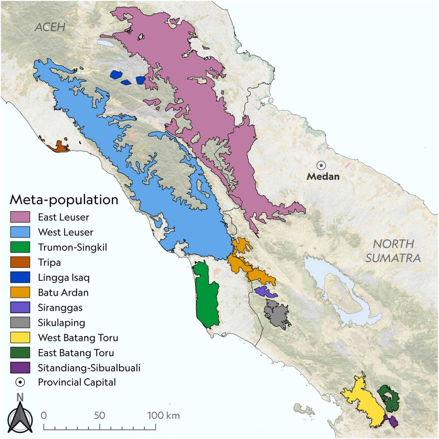 Orangutan metapopulations in Sumatra