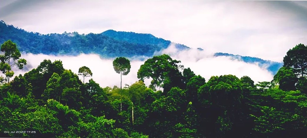 Leuser Ecosystem