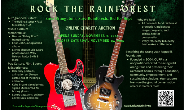 Rock the Rainforest